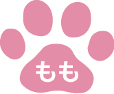 株式会社 SB技巧 | 公式マスコット | もも