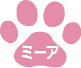 株式会社 SB技巧 | 公式マスコット | ミーア